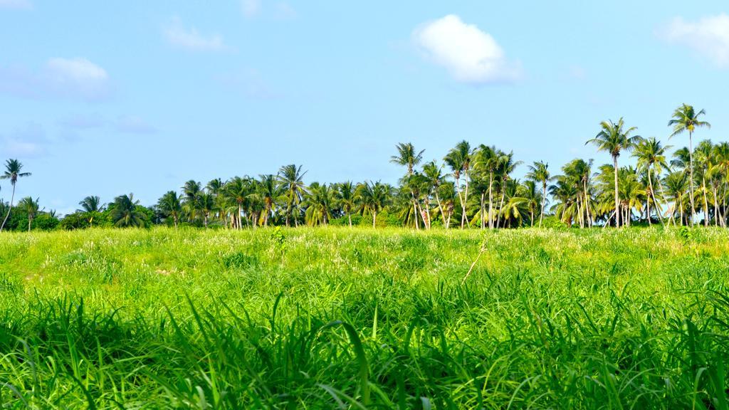 Holiday Cottage Thoddoo, Maldives Bagian luar foto