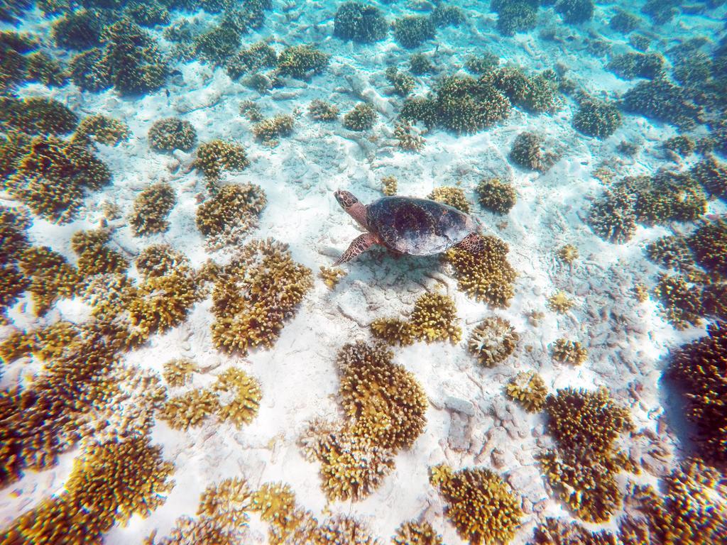 Holiday Cottage Thoddoo, Maldives Bagian luar foto